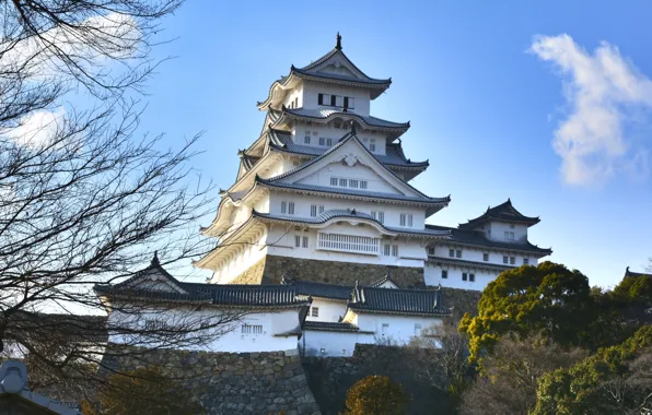 Замок, Япония, пагода, дворец