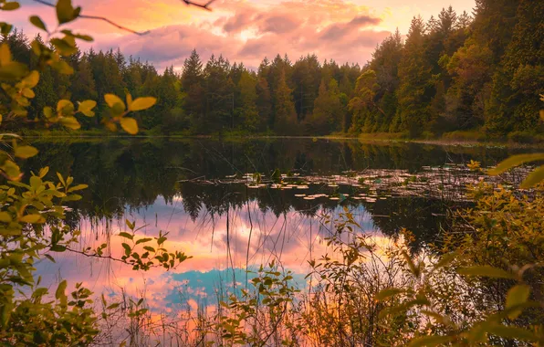 Осень, лес, небо, деревья, озеро, отражение