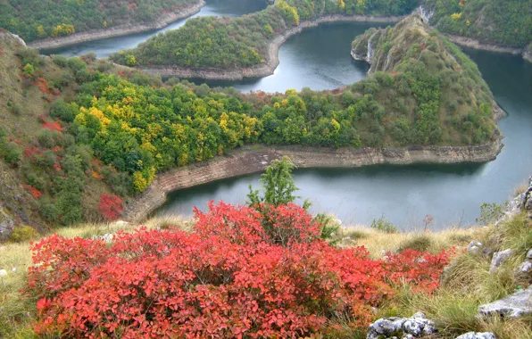 Горы, река, растительность, Сербия, Каньон Увац