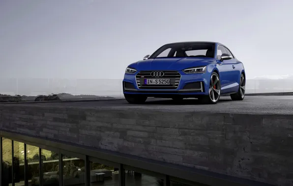 Крыша, синий, Audi, купе, Audi A5, Coupe, Audi S5, 2019