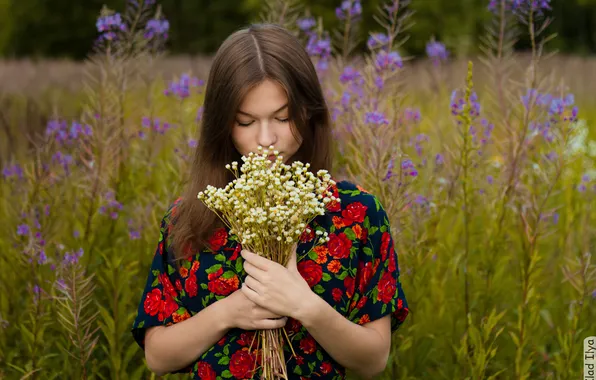 Картинка поле, девушка, цветы, фотограф, girl, photography, photographer, Ilya Klad