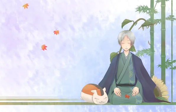 Кот, листья, рисунок, подсолнух, бамбук, парень, madara, natsume yuujinchou