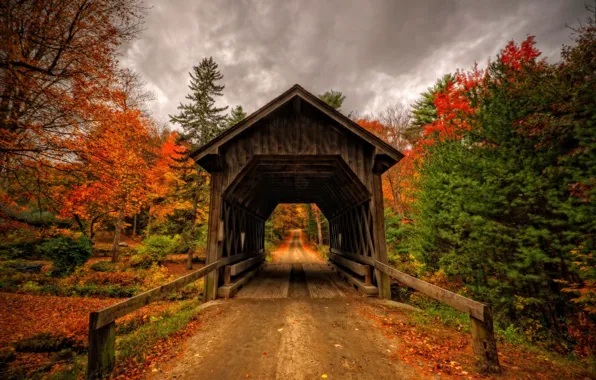 Картинка осень, лес, листья, деревья, мост, природа, парк, вид