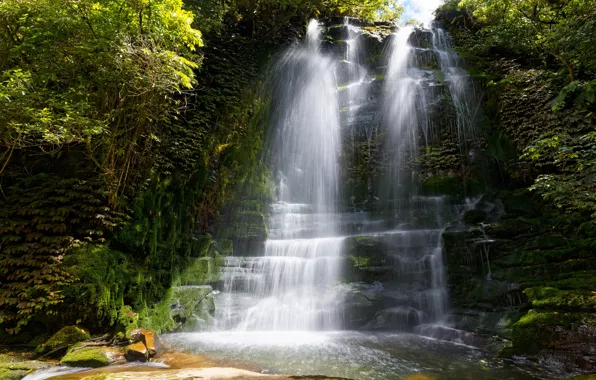 Лес, камни, заросли, водопад, каскад, кусты