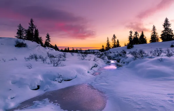 Зима, свет, снег, деревья, природа, краски, вечер, речка
