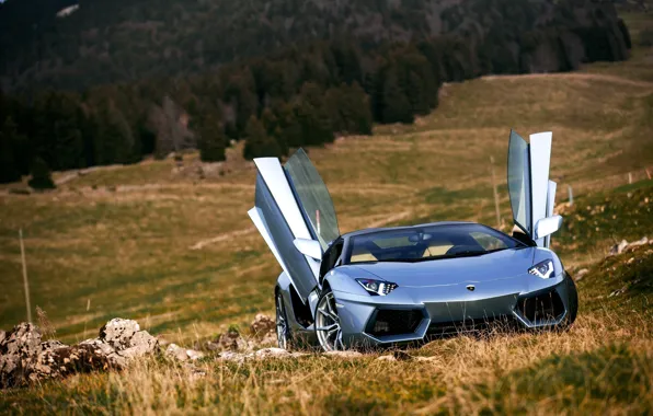 Roadster, Lamborghini, Nature, Front, LP700-4, Aventador, Supercars, Silver