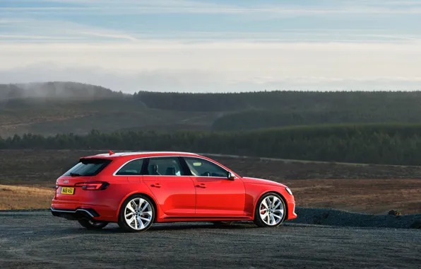 Audi, вид сзади, 2018, универсал, RS4, Avant