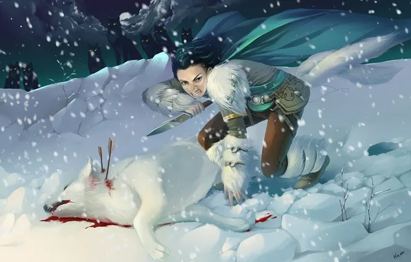 Картинка снег, ночь, кровь, волк, Девушка, оскал, мех, кинжал