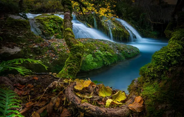 Картинка осень, лес, листья, деревья, ручей, камни, водопад, мох