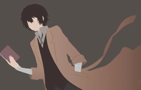 Минимализм, книга, парень, Bungou Stray Dogs, Дазай Осаму