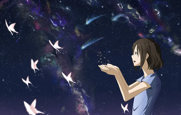 Картинка небо, девушка, звезды, бабочки, северное сияние, аниме, арт, mac