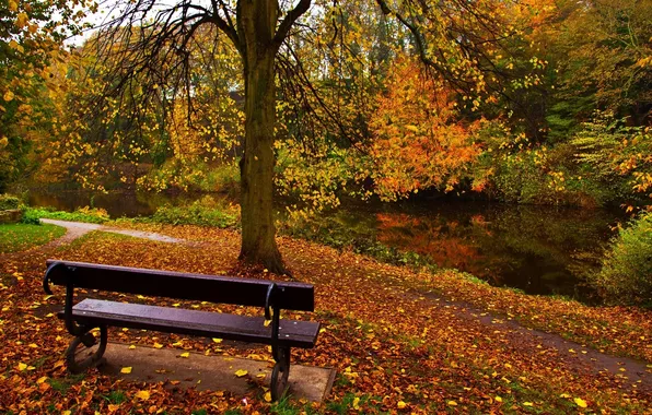 Осень, парк, скамья