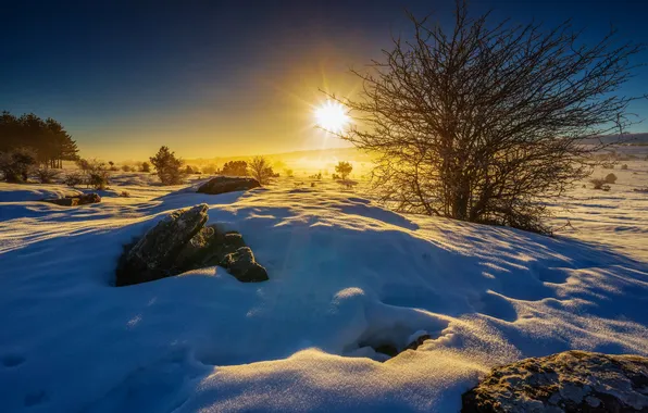 Картинка зима, поле, небо, солнце, лучи, снег, деревья, камни