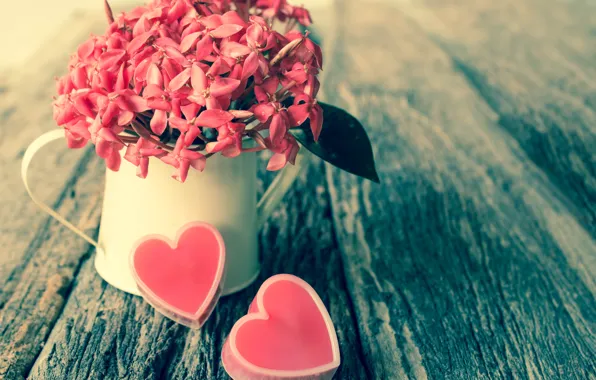 Цветы, сердце, букет, конфеты, лейка, Valentines day, hearts and flowers