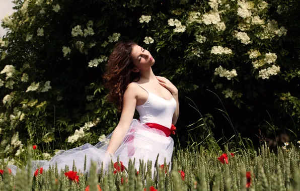Поле, лето, девушка
