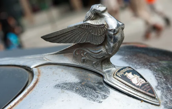 Макро, знак, эмблема, Plymouth