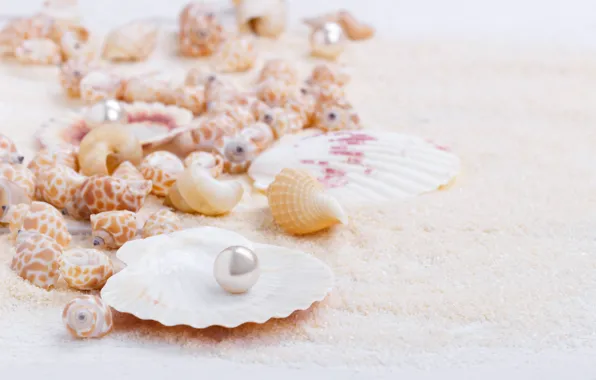 Картинка песок, ракушки, sand, marine, still life, жемчужина, seashells, perl