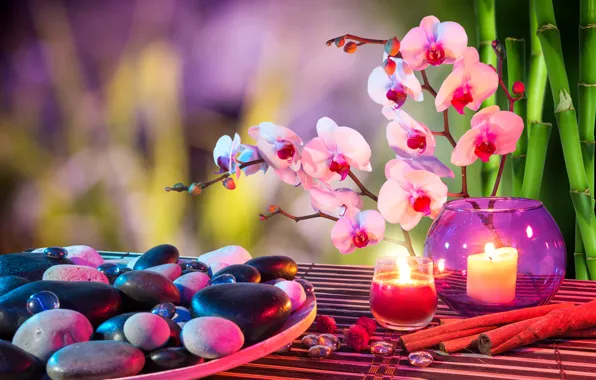 Картинка цветок, камни, свеча, бамбук, корица, орхидея, спа