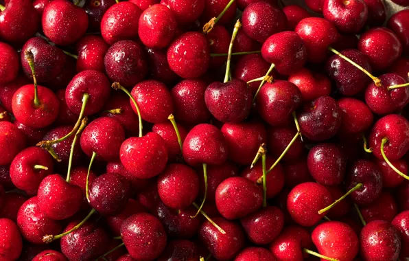 Капли, вишня, ягоды, урожай, красные, россыпь, много, черешня
