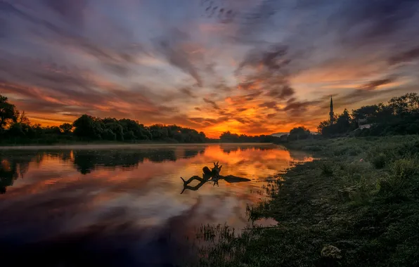 Лес, закат, коряга, водоем