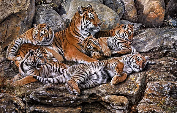 Картинка камни, арт, тигрица, тигрята, Alan M Hunt