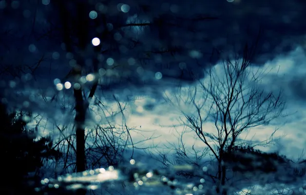 Вода, деревья, природа, отражение, вечер