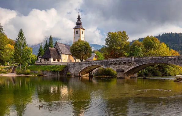 Картинка деревья, мост, озеро, утки, церковь, Словения, Slovenia, Lake Bohinj
