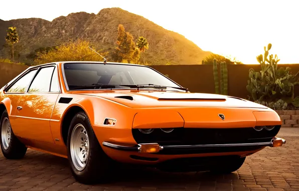 Авто, Горы, Lamborghini, Пальмы, Кактус, Jarama