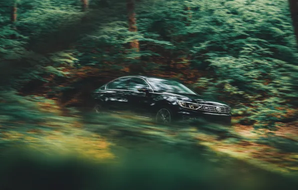 Volkswagen, Wood, Speed, Sedan, Trees, Passat, R Line