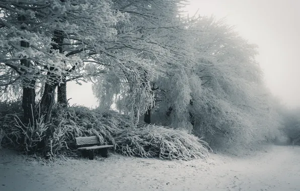 Картинка зима, снег, природа, скамья