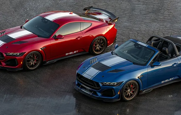 Mustang, Shelby, Shelby Super Snake, 2024, Shelby Super Snake Convertible