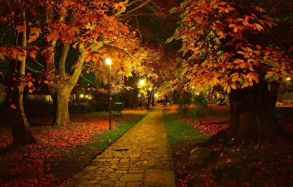 Картинка Ночь, Осень, Деревья, Фонари, Парк, Fall, Листва, Дорожка
