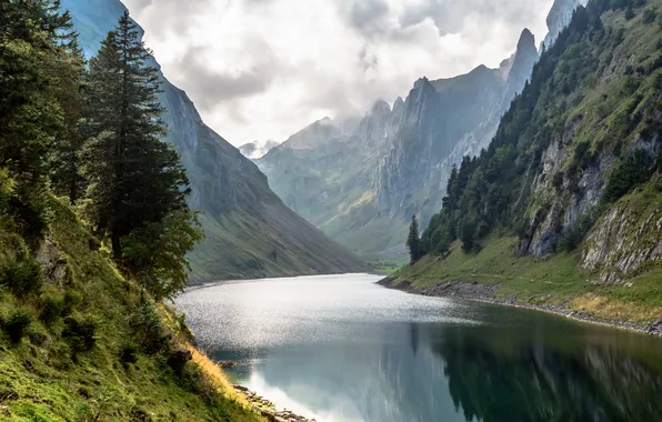 Небо, облака, деревья, горы, река, скалы, панорама