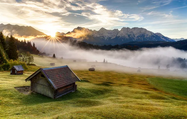 Трава, деревья, горы, природа, туман, дом, утро, Германия