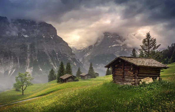 Картинка цветы, туман, Швейцария, облако, долина, домики, в кантоне Берн, Гриндельвальд