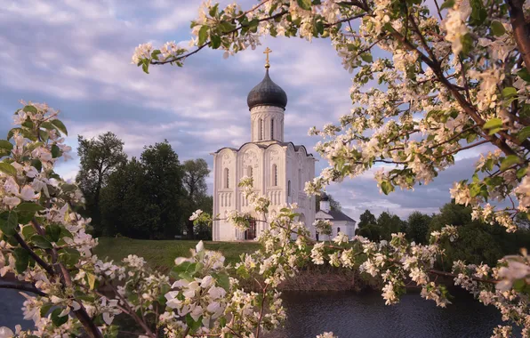 Картинка церковь, собор, храм, Яблоневый цвет, Игорь Аброскин