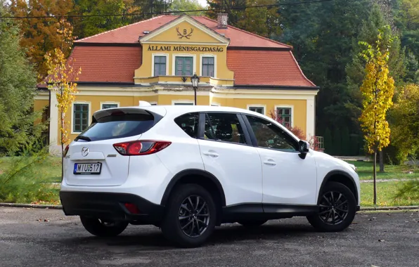 Авто, white, мазда, cx-5, skyactiv