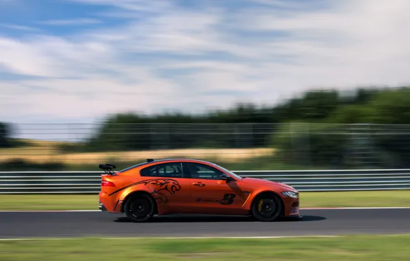 Картинка оранжевый, скорость, Jaguar, профиль, 2017, XE SV Project 8