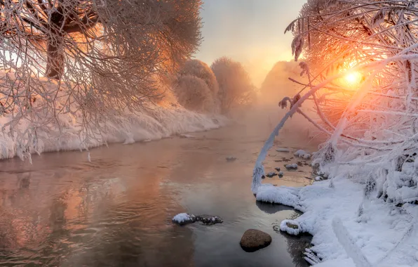 Картинка зима, деревья, пейзаж, природа, река, рассвет, Снежное