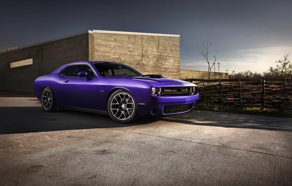 Dodge, Challenger, Muscle Car