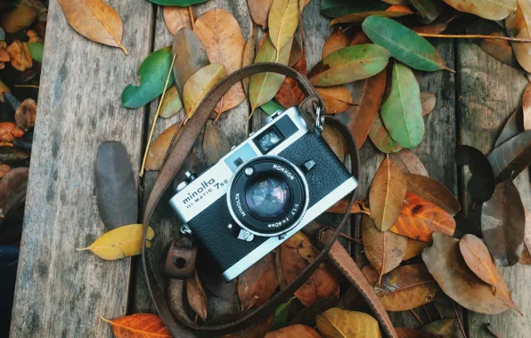 Картинка осень, листья, фотоаппарат