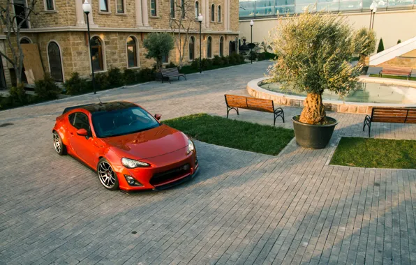 Дерево, сверху, Toyota, GT86, Rocket, Bunny