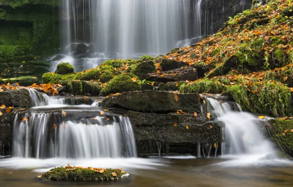 Картинка осень, листья, камни, Англия, водопад, мох, England, Северный Йоркшир