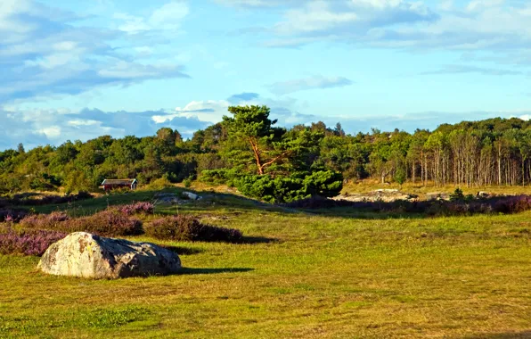 Картинка поле, лес, небо, трава, деревья, камень, домик, Швеция