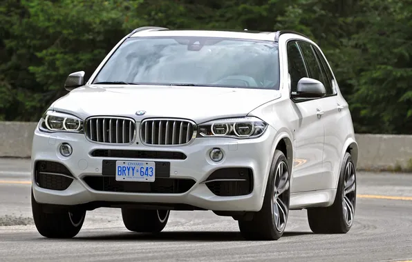 Дорога, белый, деревья, поворот, шоссе, БМВ, BMW X5