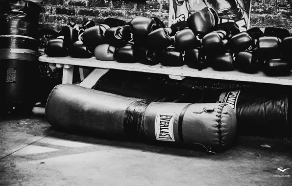 Boxing, Мешок, Everlast