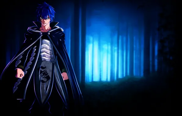 Ночь, парень, Fairy Tail, Хвост феи