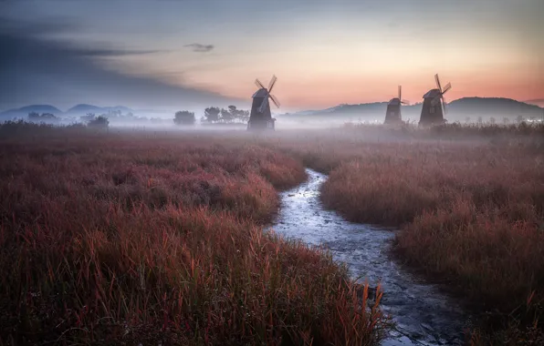 Grass, twilight, Holland, sky, field, landscape, nature, sunset