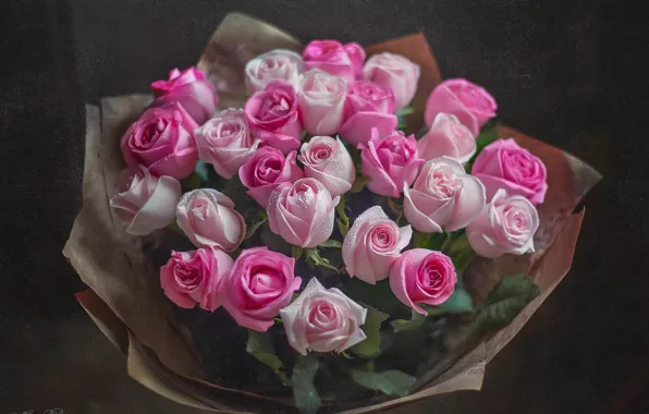 Картинка капли, розы, букет, розовые, бутоны, Marina Baccardi