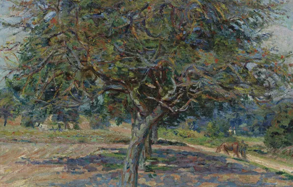 Пейзаж, картина, импрессионизм, Арман Гийомен, Armand Guillaumin, Деревья в Иль-де-Франс